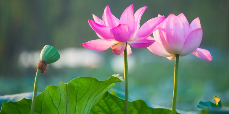 Tài liệu không có tiêu đề